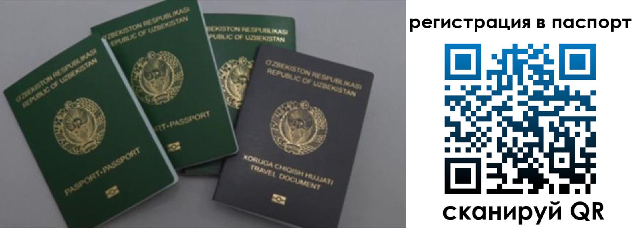 прописка от собственника в Коле