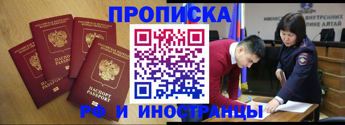 где прописаться в Коле